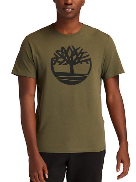 TIMBERLAND KBEC RIVER T-shirt a mezze maniche grapleaf - T-shirt Uomo
