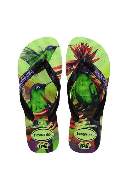 HAVAIANAS IPE Infradito citronella - Scarpe Unisex
