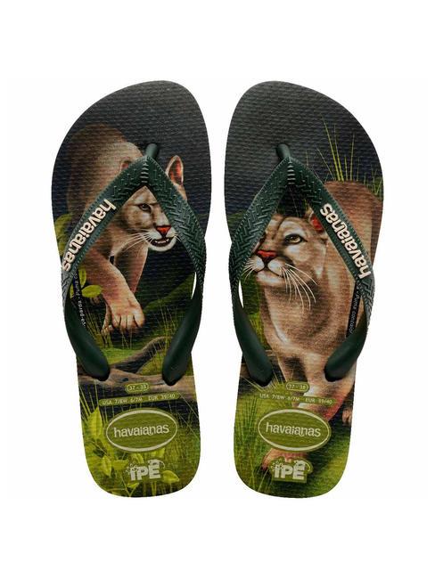 HAVAIANAS IPE Infradito olivegreen - Scarpe Unisex