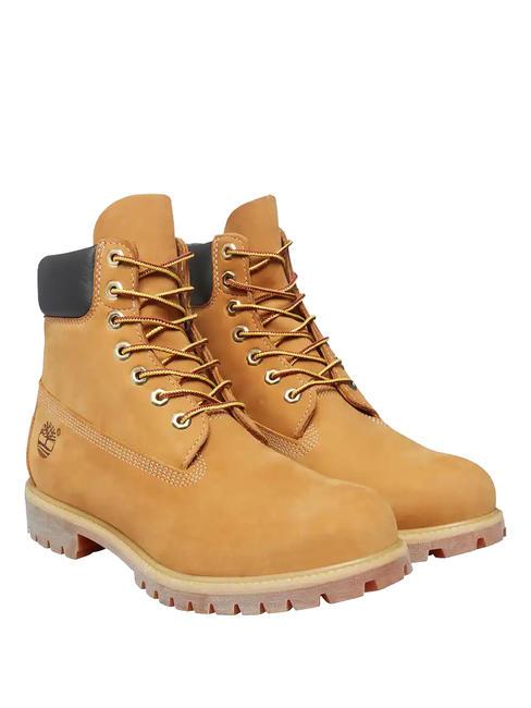 TIMBERLAND 6 INCH  Stivaletti in pelle yellow - Scarpe Unisex