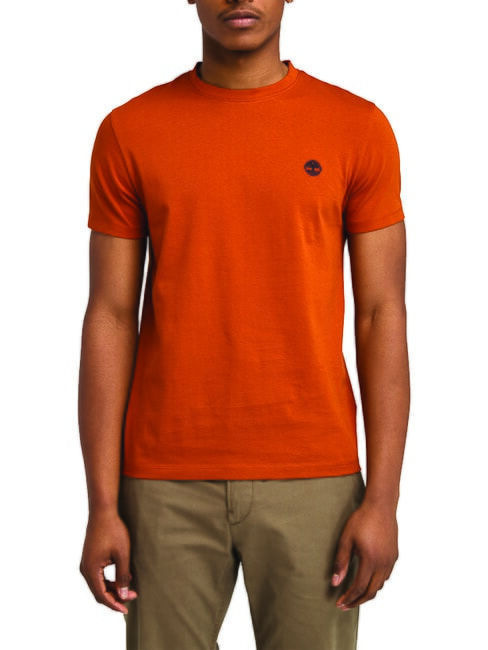 TIMBERLAND SS DUNRIVER CREW T-shirt in cotone umber - T-shirt Uomo